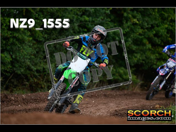 IntersGreen-121
