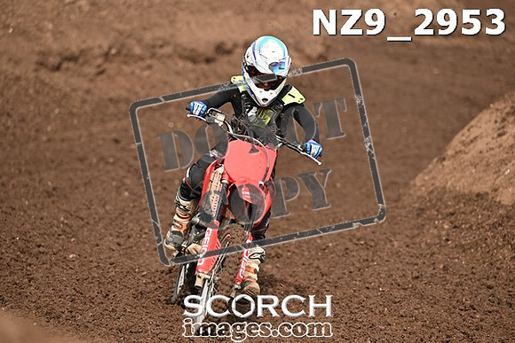 NZ9_2953