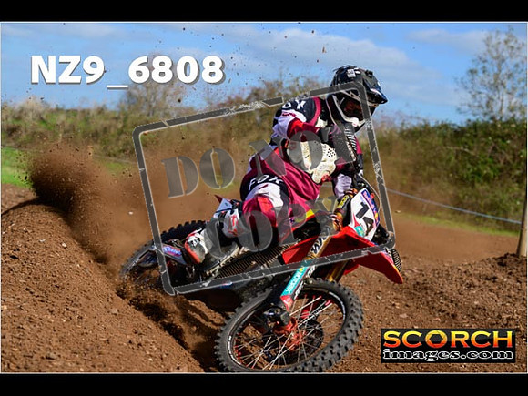 Experts-303