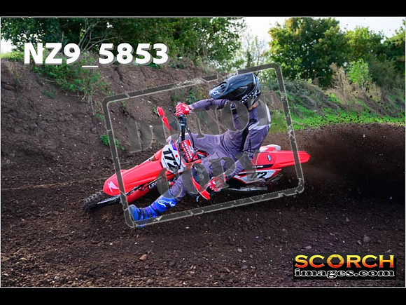 Experts-082