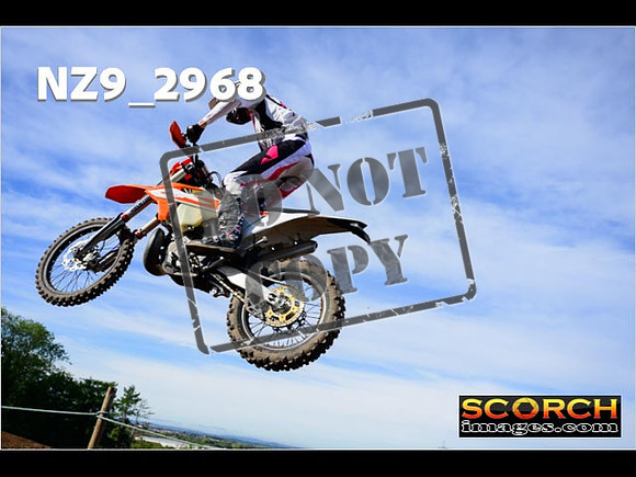 Experts-165