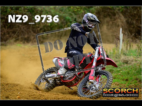 Experts-159