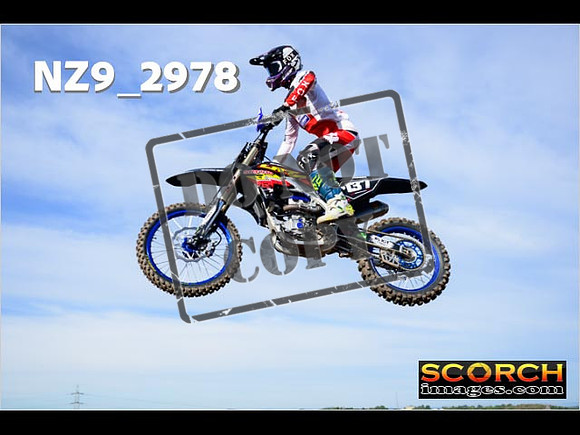 Experts-174