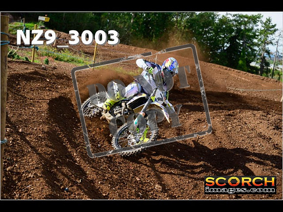 Experts-197