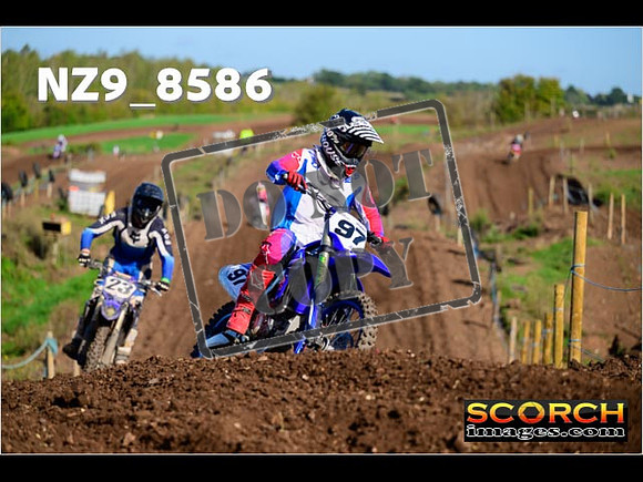 Inters-298