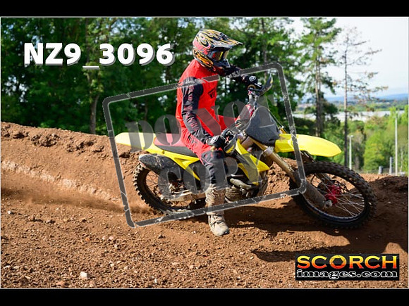 Experts-282