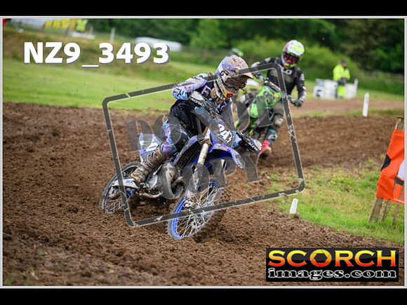 LDR Wed 31-May Experts-007
