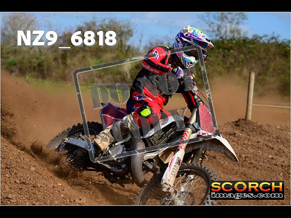 Experts-313