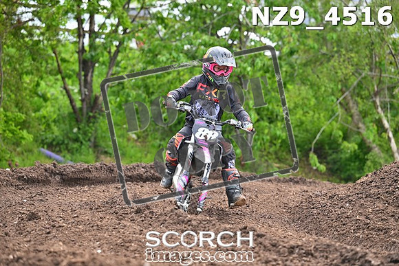 NZ9_4516