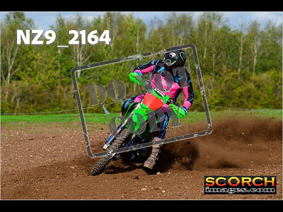 Experts-293