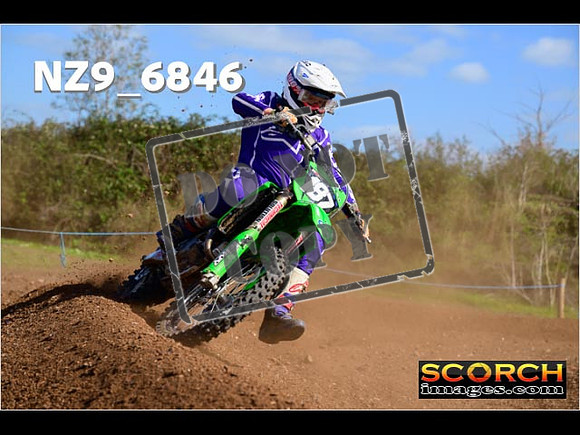 Experts-341