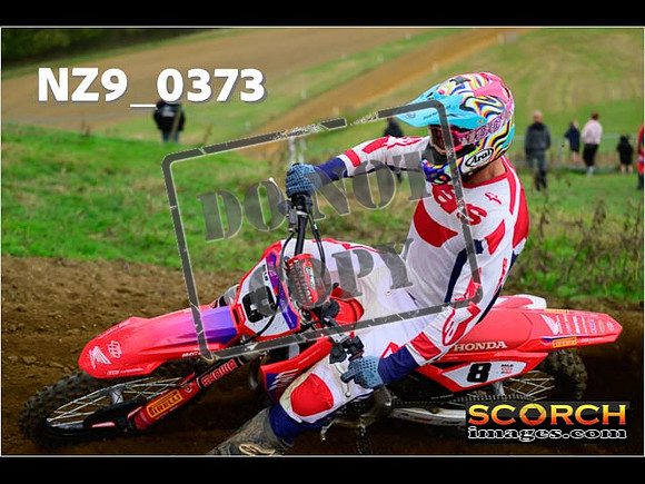 Experts-321