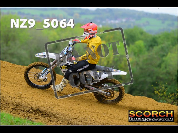 Experts-082