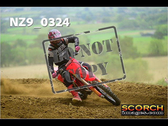 Experts-276