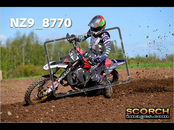 Experts-271