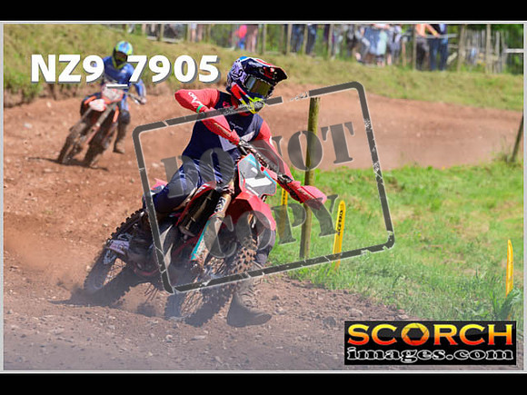 Lower Drayton Vets-35