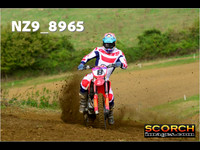 Experts-011