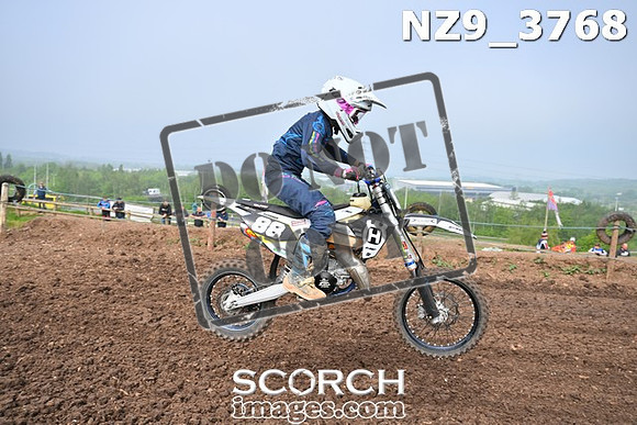 NZ9_3768
