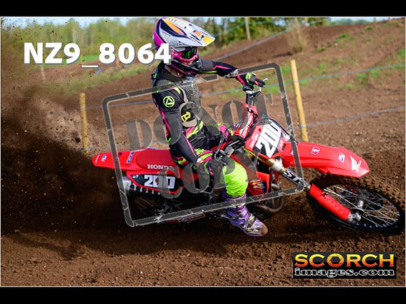 Experts-059