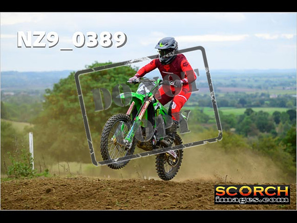Experts-337