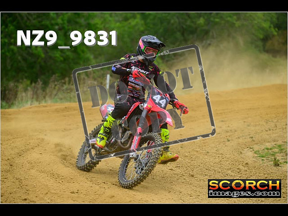 Experts-250