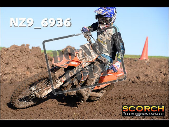 Experts-137