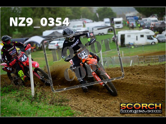 Experts-304