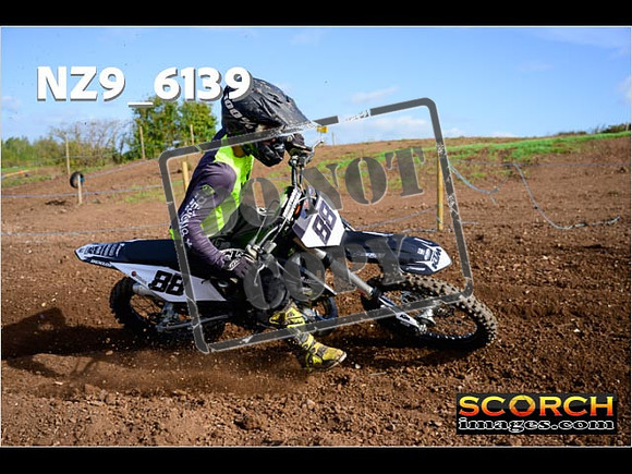 IntersGreen-063