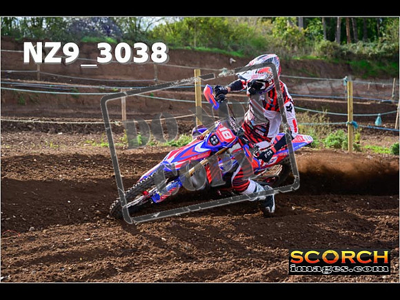 Experts-231