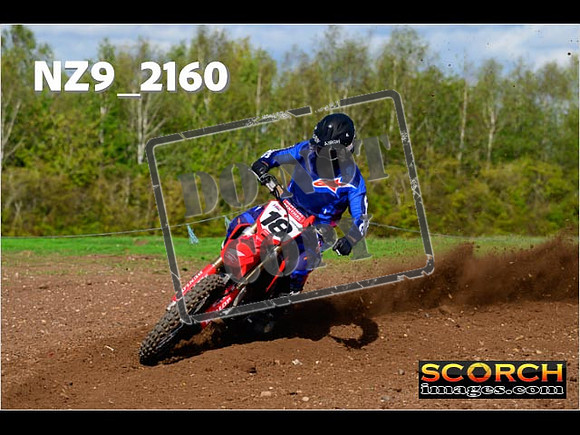 Experts-289
