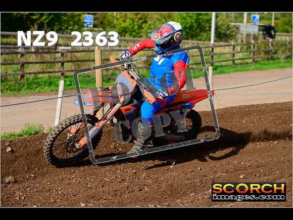 Experts-324