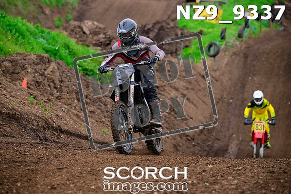 NZ9_9337