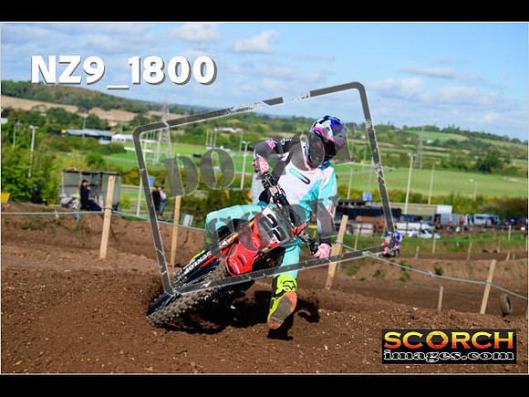 Experts-225