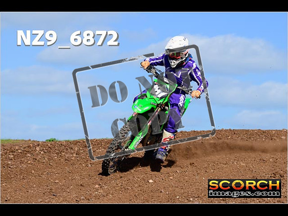 Experts-366