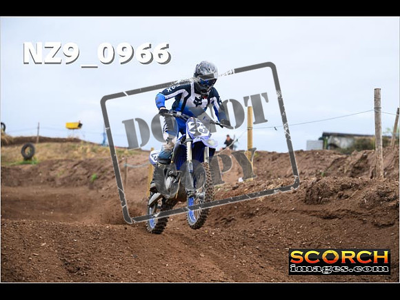 IntersGreen-089