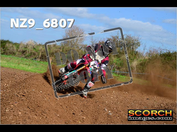 Experts-302