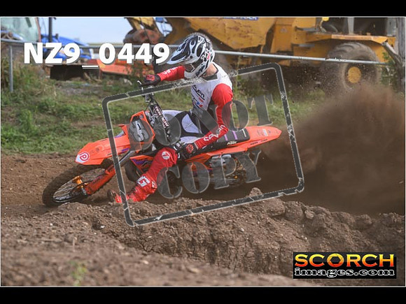 Experts-045