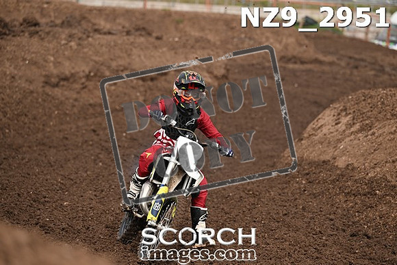 NZ9_2951