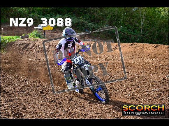Experts-275