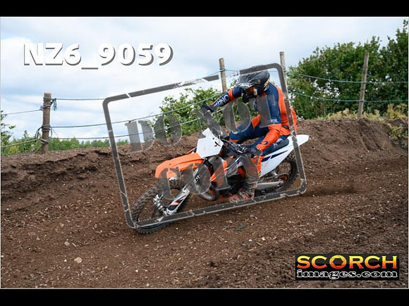 Experts-124
