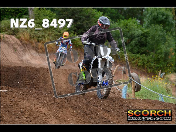 InterGreen-079