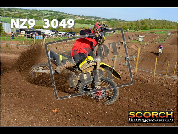 Experts-242