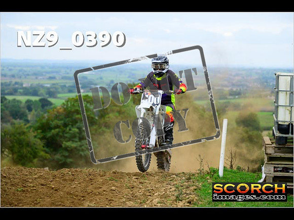 Experts-338