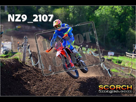 Experts-242