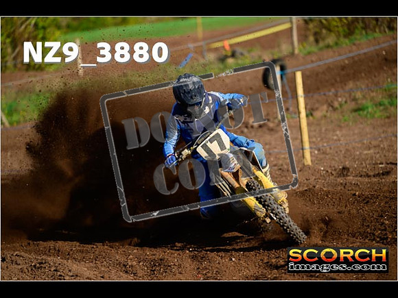 Experts-026