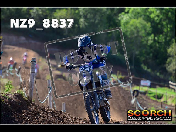 Inters-445
