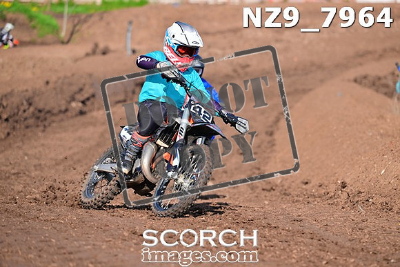 NZ9_7964