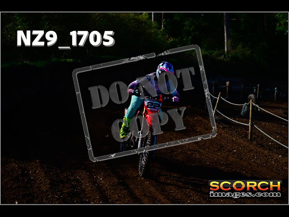 Experts-137