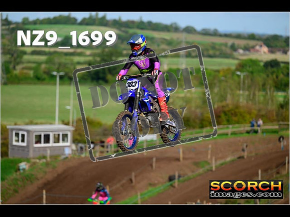 Experts-131