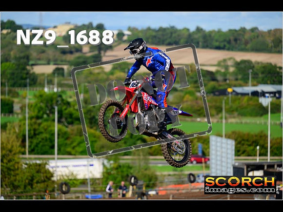 Experts-120